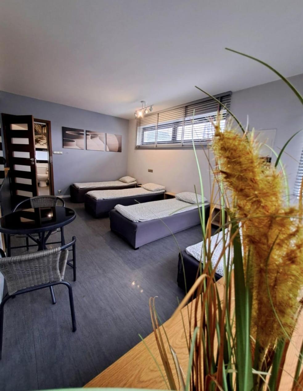 Apartament Studio Piano Płock Eksteriør bilde